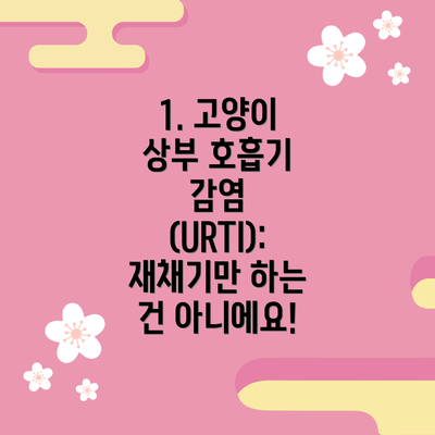 1. 고양이 상부 호흡기 감염 (URTI): 재채기만 하는 건 아니에요!