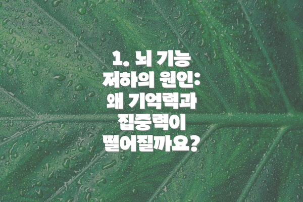 1. 뇌 기능 저하의 원인: 왜 기억력과 집중력이 떨어질까요?