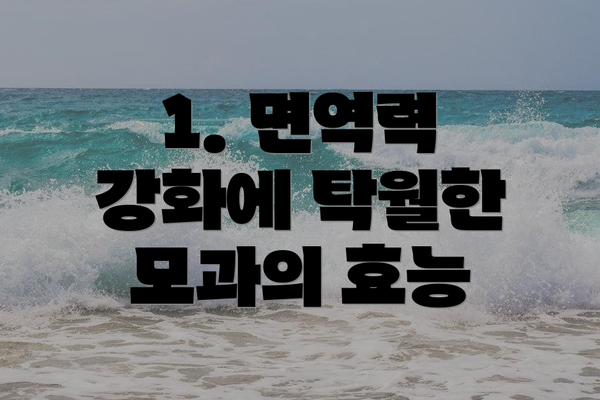 1. 면역력 강화에 탁월한 모과의 효능