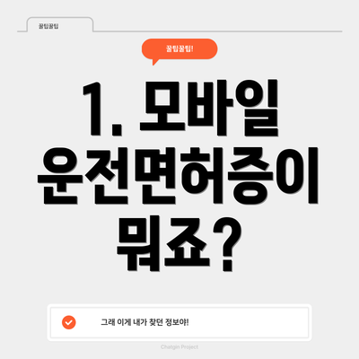 1. 모바일 운전면허증이 뭐죠?
