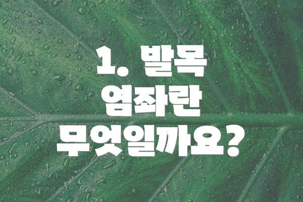 1. 발목 염좌란 무엇일까요?