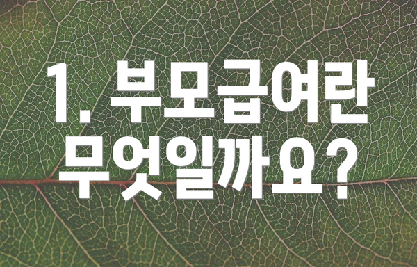 1. 부모급여란 무엇일까요?