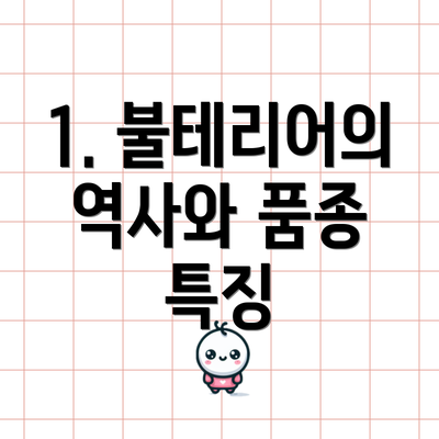 1. 불테리어의 역사와 품종 특징