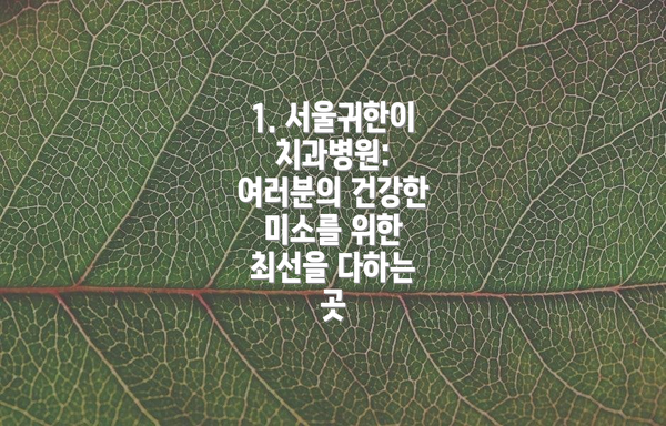 1. 서울귀한이치과병원: 여러분의 건강한 미소를 위한 최선을 다하는 곳