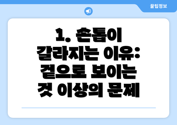 1. 손톱이 갈라지는 이유: 겉으로 보이는 것 이상의 문제