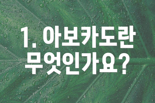 1. 아보카도란 무엇인가요?