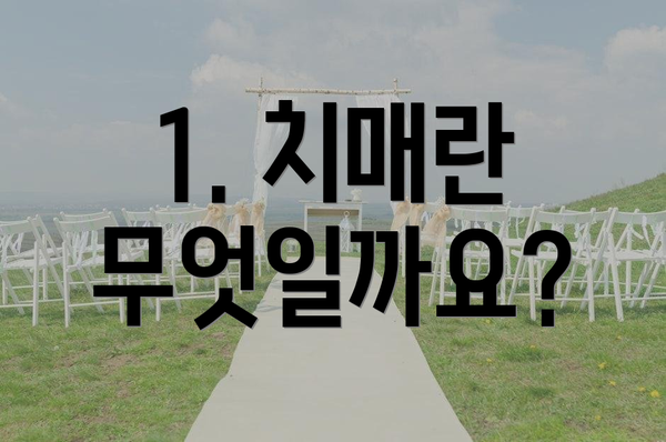 1. 치매란 무엇일까요?