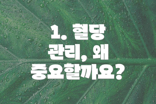 1. 혈당 관리, 왜 중요할까요?