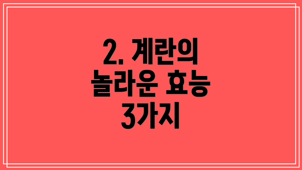 2. 계란의 놀라운 효능 3가지