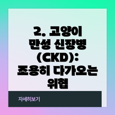 2. 고양이 만성 신장병 (CKD): 조용히 다가오는 위협