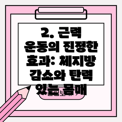 2. 근력 운동의 진정한 효과: 체지방 감소와 탄력 있는 몸매
