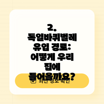 2. 독일바퀴벌레 유입 경로: 어떻게 우리 집에 들어올까요?