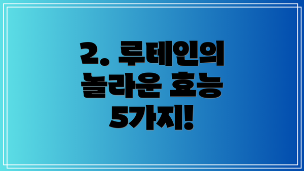 2. 루테인의 놀라운 효능 5가지!