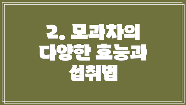 2. 모과차의 다양한 효능과 섭취법