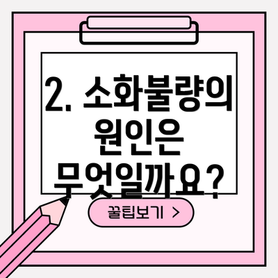 2. 소화불량의 원인은 무엇일까요?