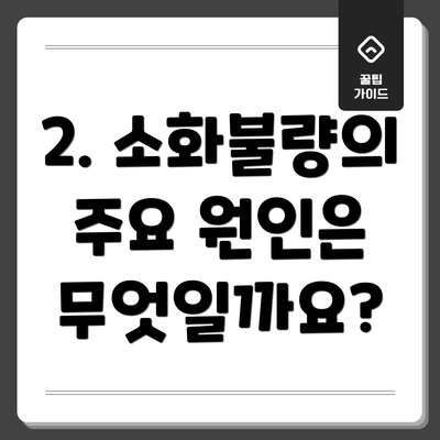 2. 소화불량의 주요 원인은 무엇일까요?