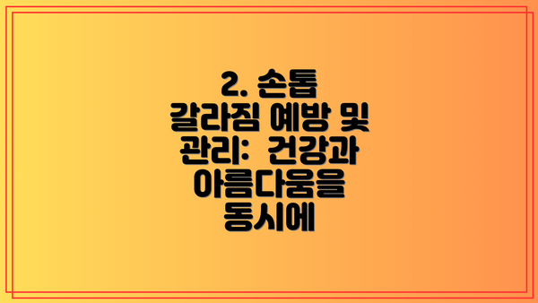 2. 손톱 갈라짐 예방 및 관리:  건강과 아름다움을 동시에