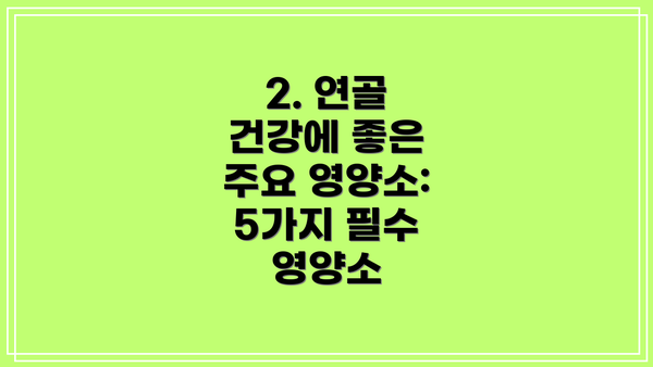 2. 연골 건강에 좋은 주요 영양소: 5가지 필수 영양소
