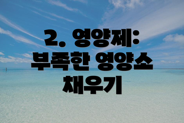 2. 영양제: 부족한 영양소 채우기