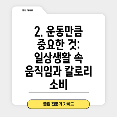 2. 운동만큼 중요한 것: 일상생활 속 움직임과 칼로리 소비