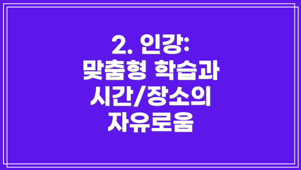 2. 인강: 맞춤형 학습과 시간/장소의 자유로움