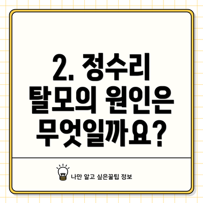 2. 정수리 탈모의 원인은 무엇일까요?