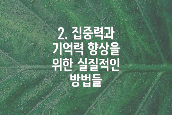 2. 집중력과 기억력 향상을 위한 실질적인 방법들