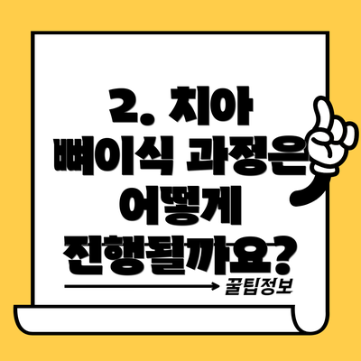 2. 치아 뼈이식 과정은 어떻게 진행될까요?