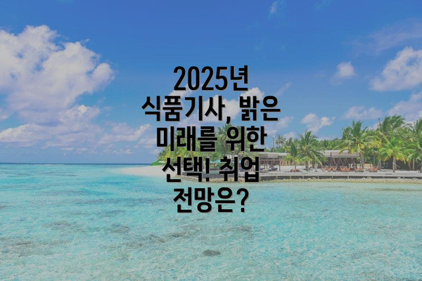 2025년 식품기사, 밝은 미래를 위한 선택! 취업 전망은?