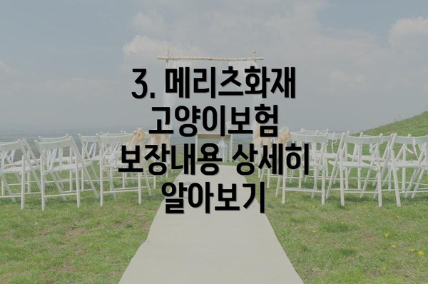 3. 메리츠화재 고양이보험 보장내용 상세히 알아보기