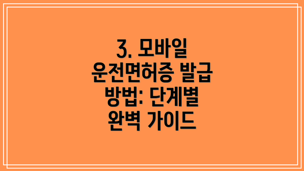 3. 모바일 운전면허증 발급 방법: 단계별 완벽 가이드