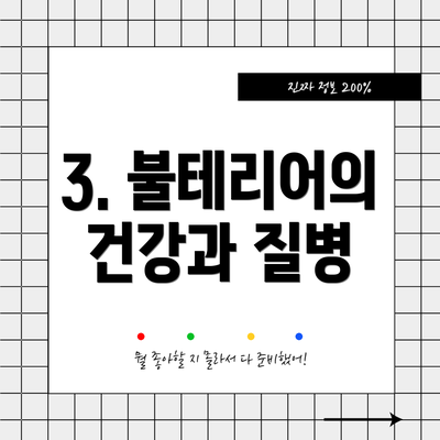 3. 불테리어의 건강과 질병