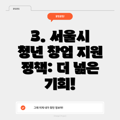 3. 서울시 청년 창업 지원 정책: 더 넓은 기회!