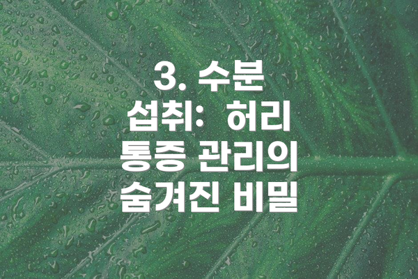 3. 수분 섭취:  허리 통증 관리의 숨겨진 비밀