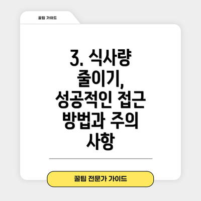 3. 식사량 줄이기, 성공적인 접근 방법과 주의 사항