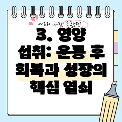 3. 영양 섭취: 운동 후 회복과 성장의 핵심 열쇠
