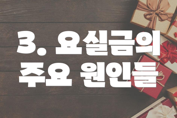 3. 요실금의 주요 원인들