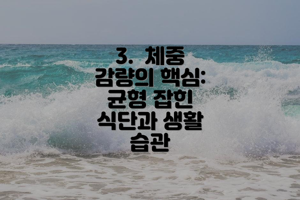 3.  체중 감량의 핵심: 균형 잡힌 식단과 생활 습관