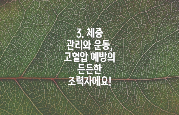 3. 체중 관리와 운동, 고혈압 예방의 든든한 조력자에요!