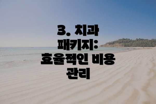 3. 치과 패키지: 효율적인 비용 관리