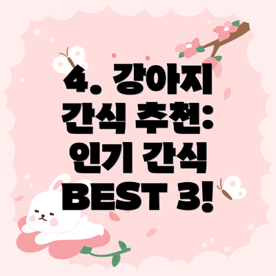 4. 강아지 간식 추천: 인기 간식 BEST 3!