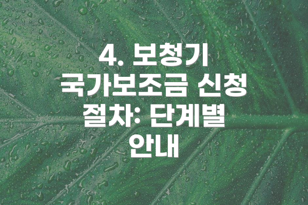 4. 보청기 국가보조금 신청 절차: 단계별 안내