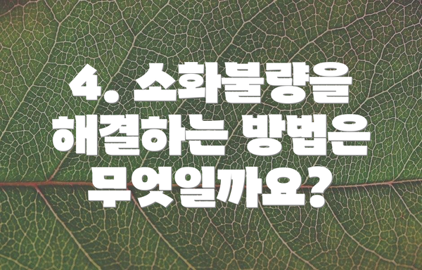 4. 소화불량을 해결하는 방법은 무엇일까요?