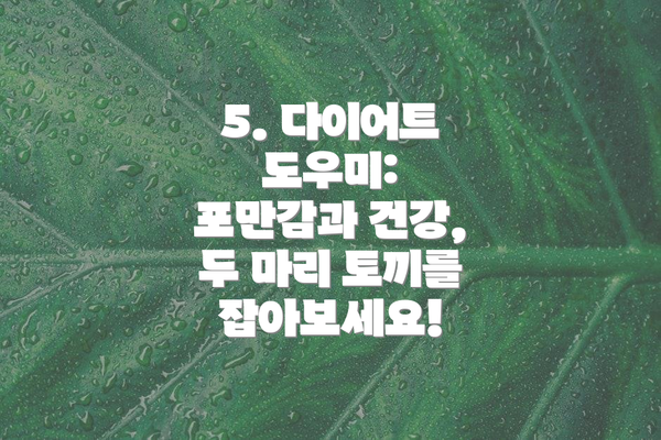 5. 다이어트 도우미:  포만감과 건강, 두 마리 토끼를 잡아보세요!