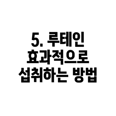 5. 루테인 효과적으로 섭취하는 방법