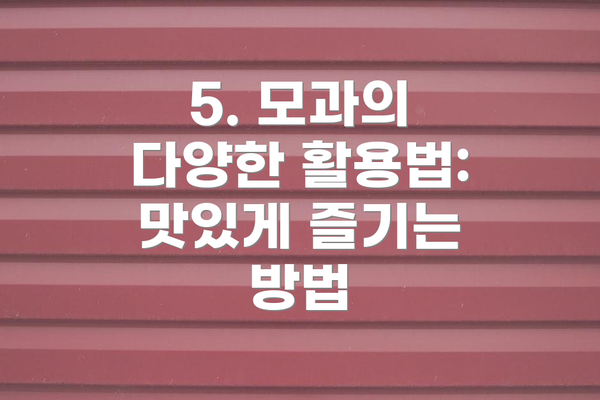 5. 모과의 다양한 활용법:  맛있게 즐기는 방법