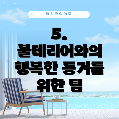 5. 불테리어와의 행복한 동거를 위한 팁