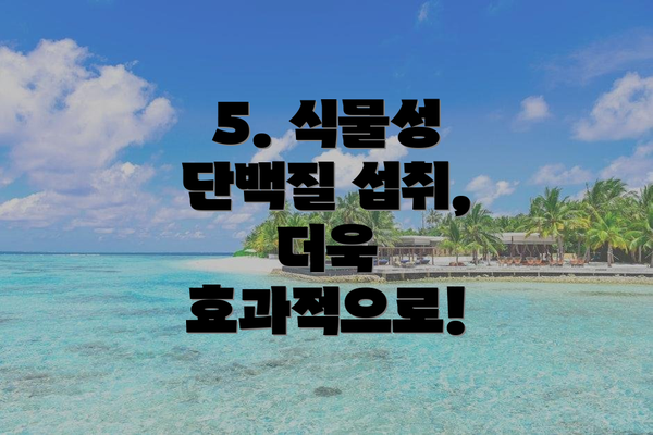 5. 식물성 단백질 섭취, 더욱 효과적으로!