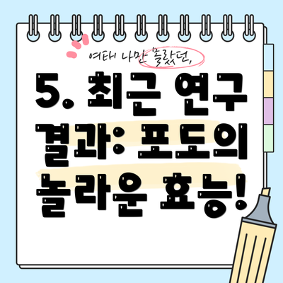 5. 최근 연구 결과: 포도의 놀라운 효능!