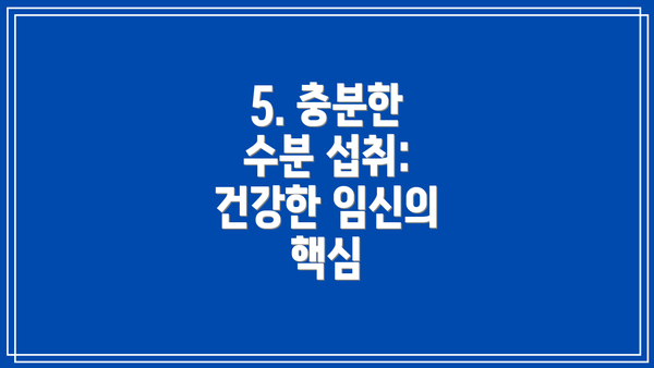 5. 충분한 수분 섭취: 건강한 임신의 핵심